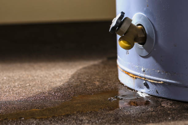 Best Local water damage restoration  in Goodyear, AZ