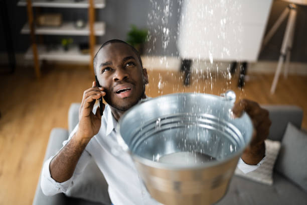 Best Carpet water damage restoration  in Goodyear, AZ