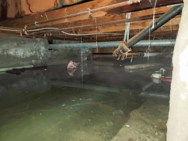 Best 24-hour water damage restoration  in Goodyear, AZ