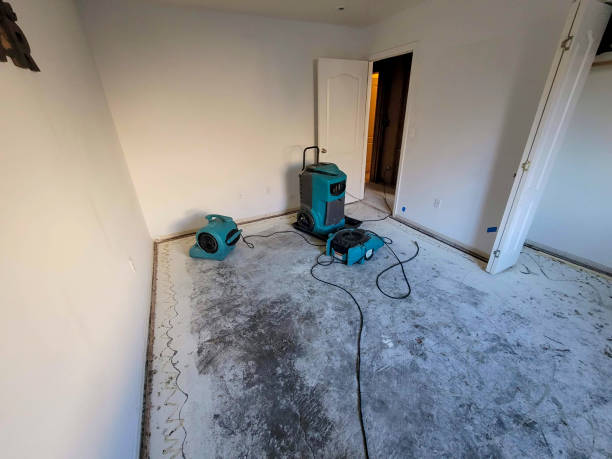 Best Water damage contractors near me  in Goodyear, AZ