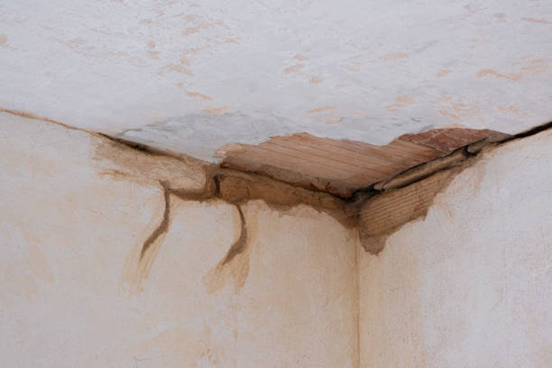 Best Residential water damage restoration  in Goodyear, AZ