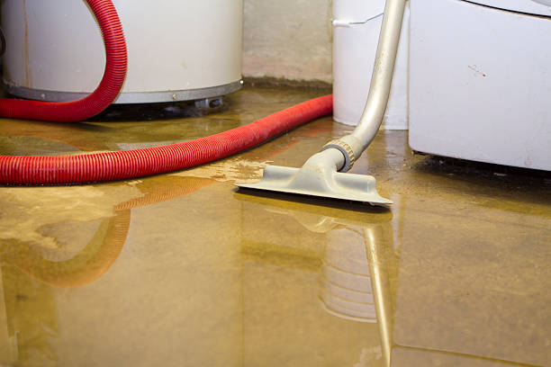 Best Flood damage cleanup  in Goodyear, AZ