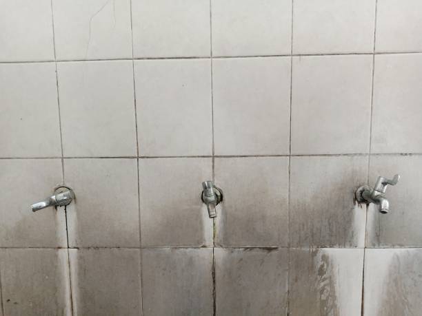 Best Flooded house restoration  in Goodyear, AZ