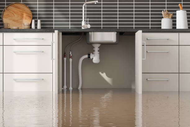 Best Residential water damage restoration  in Goodyear, AZ